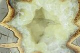 Crystal Filled Septarian Geode Bookends - Utah #184584-1